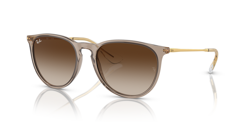 Ray-Ban Erika Classic