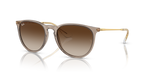 Ray-Ban Erika Classic