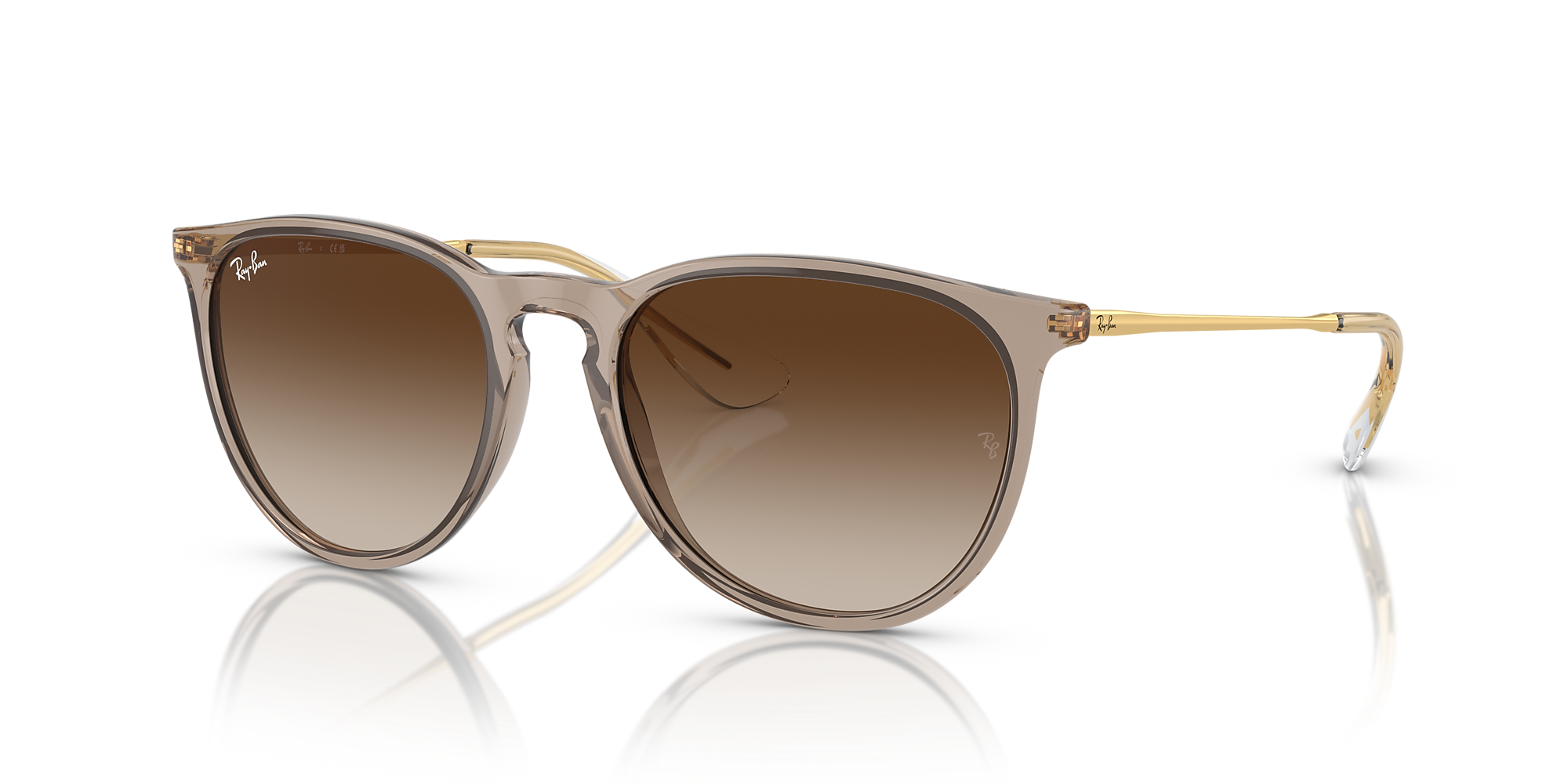 Ray-Ban Erika Classic