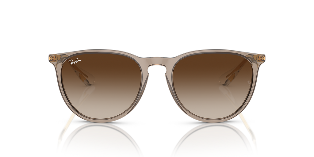 Ray-Ban Erika Classic