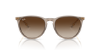 Ray-Ban Erika Classic