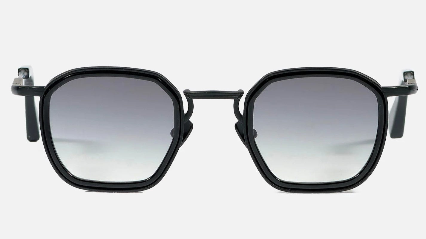 Leo - C301