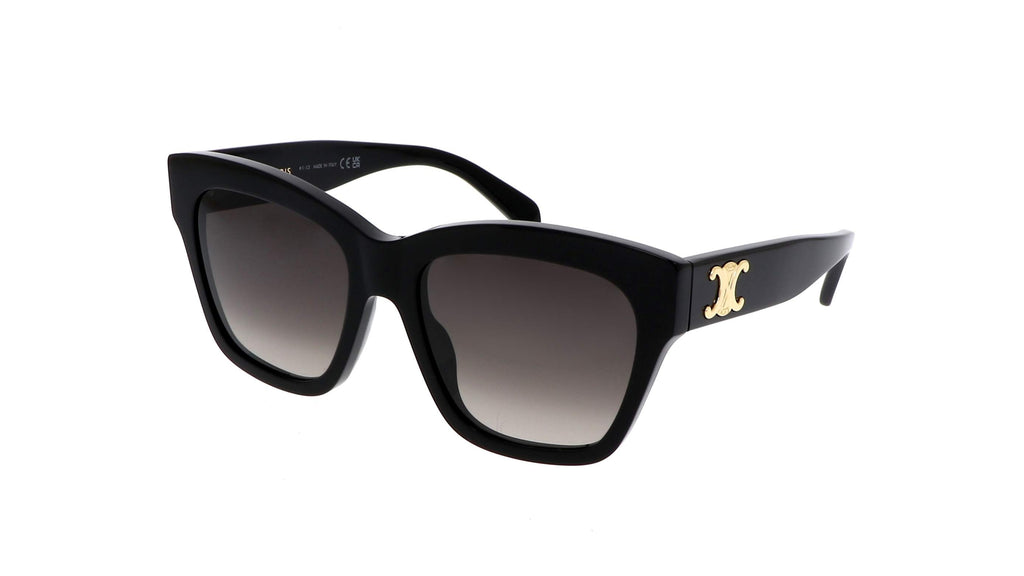 CELINE CL40253I