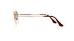 Ray-Ban Hexagonal